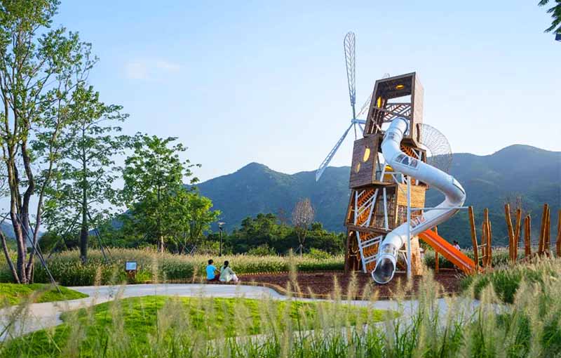 ��Ȼ����w�л������}